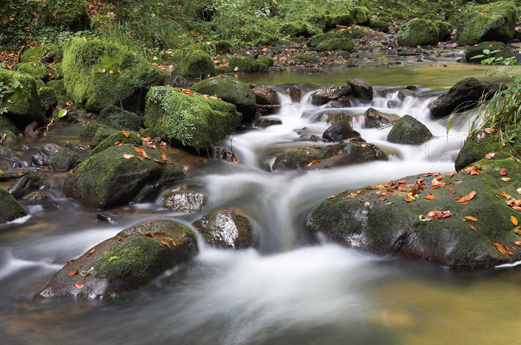 Cascade Mullerthal